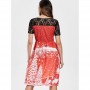 Print Lace Panel Vin...