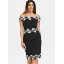 Scalloped Lace Panel...