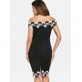 Scalloped Lace Panel...